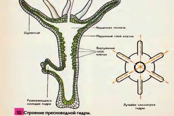 2krn cc что это